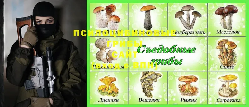 Псилоцибиновые грибы MAGIC MUSHROOMS Дмитров