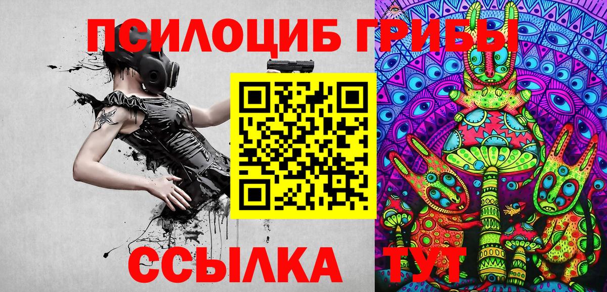 Дмитров  Псилоцибиновые грибы Psilocybine cubensis  Вход с VPN 