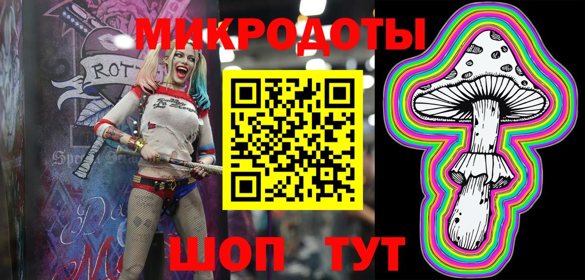 Псилоцибиновые грибы Psilocybe Дмитров
